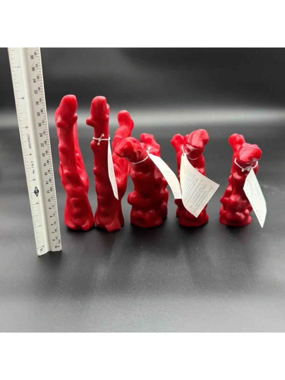Set of Five Pottery Barn Resin Coral branch decor piece